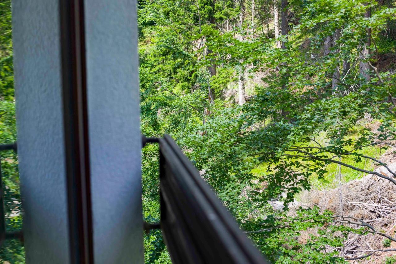 Forest Dream Apartment - Elit Παμπόροβο Εξωτερικό φωτογραφία
