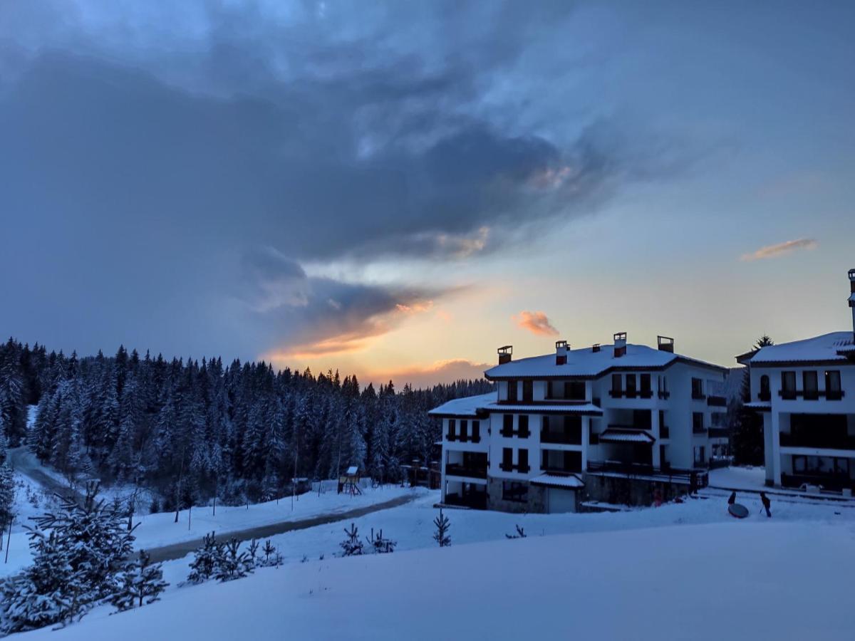Forest Dream Apartment - Elit Παμπόροβο Εξωτερικό φωτογραφία