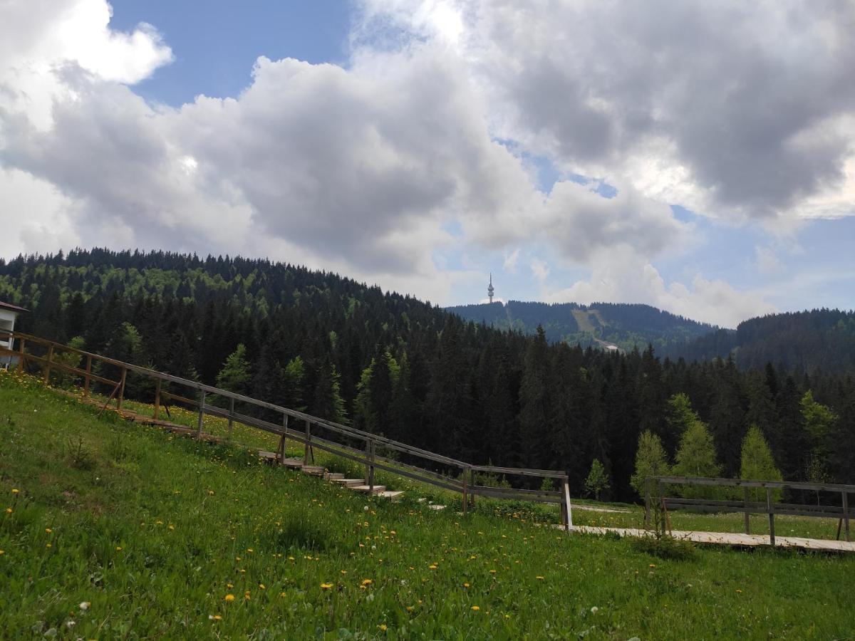 Forest Dream Apartment - Elit Παμπόροβο Εξωτερικό φωτογραφία