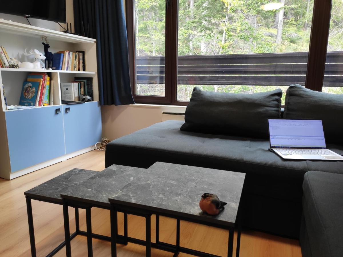 Forest Dream Apartment - Elit Παμπόροβο Εξωτερικό φωτογραφία