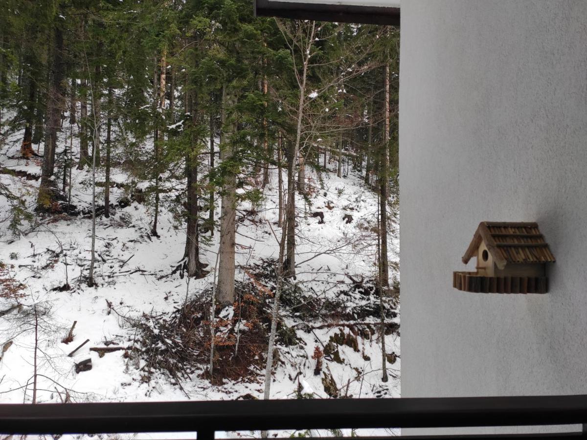 Forest Dream Apartment - Elit Παμπόροβο Εξωτερικό φωτογραφία